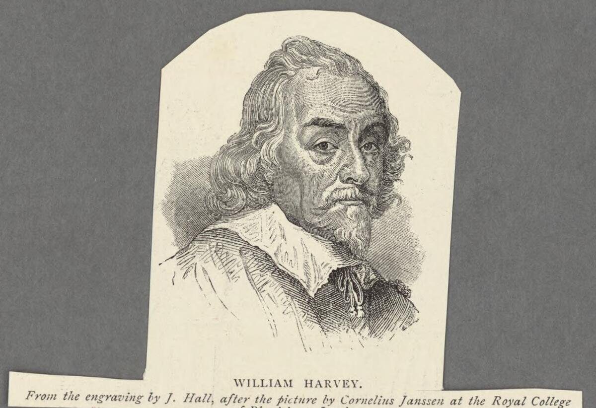 Gravura retrato de William Harvey