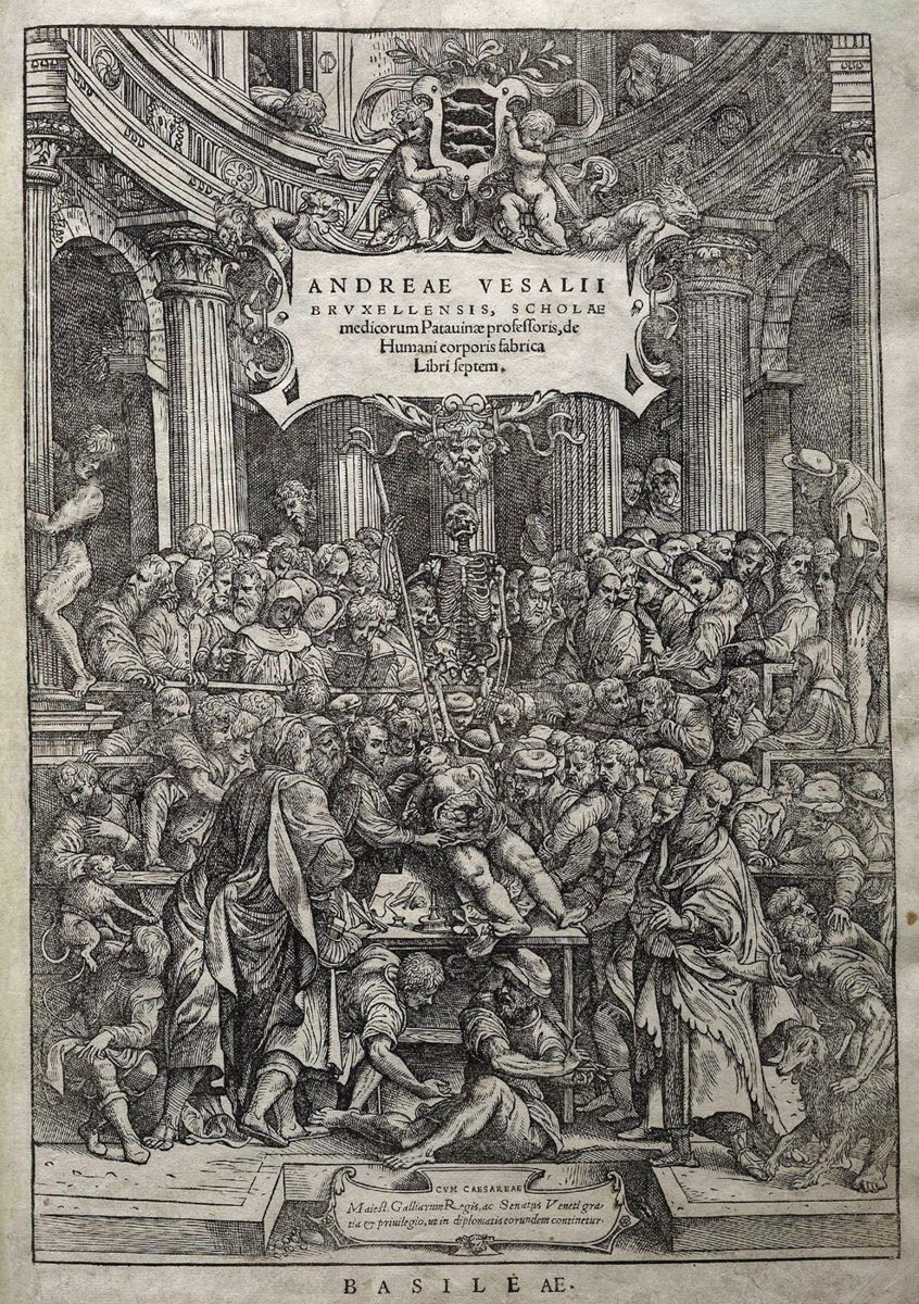 Frontispício da Fabrica de Vesalius: dissecação pública diante de uma multidão