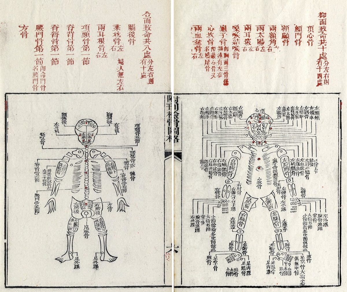 Página do Xiyuan jilu com a nomenclatura dos ossos humanos